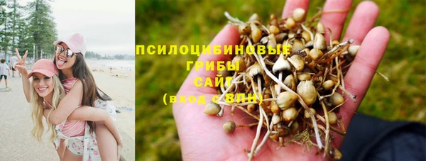 а пвп мука Медвежьегорск