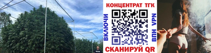 omg ссылки Нижневартовск Дистиллят ТГК Wax